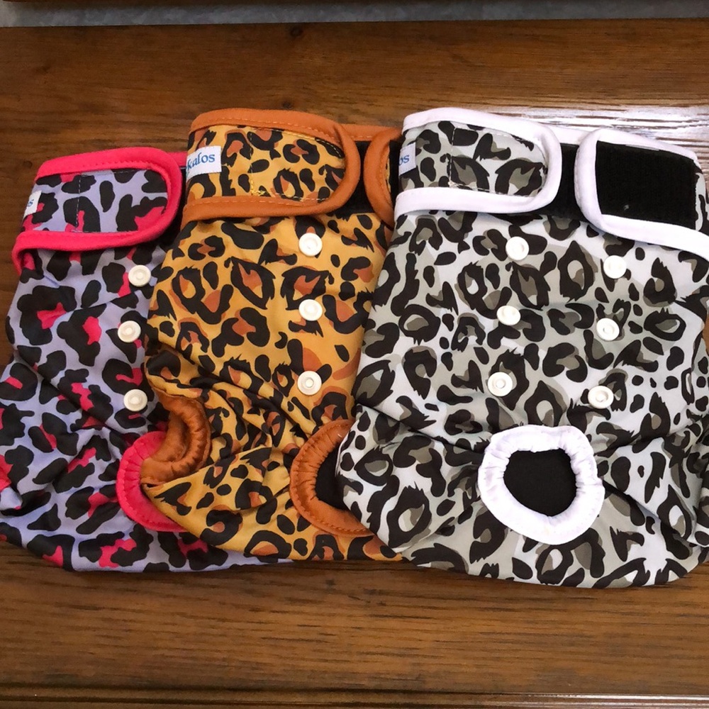 New Dog diapers 3 pack dog period panties. M. Reusable & washable. Leopard print